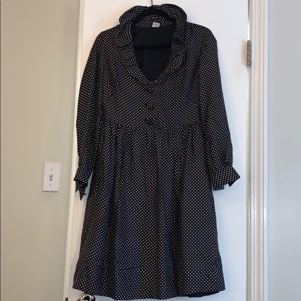 J.Crew Silk long sleeve dress
